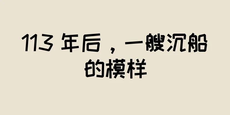 113 年后，一艘沉船的模样