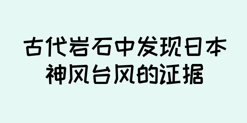 古代岩石中发现日本神风台风的证据