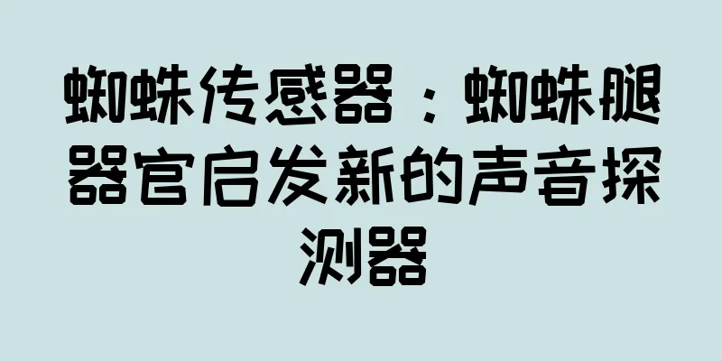 蜘蛛传感器：蜘蛛腿器官启发新的声音探测器