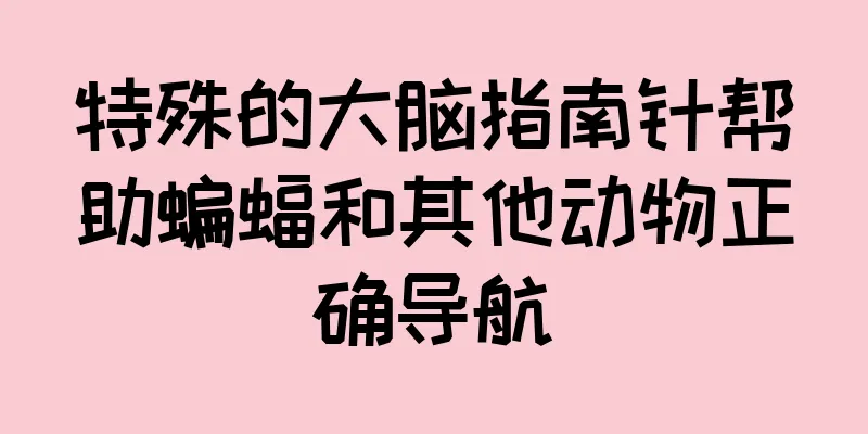 特殊的大脑指南针帮助蝙蝠和其他动物正确导航