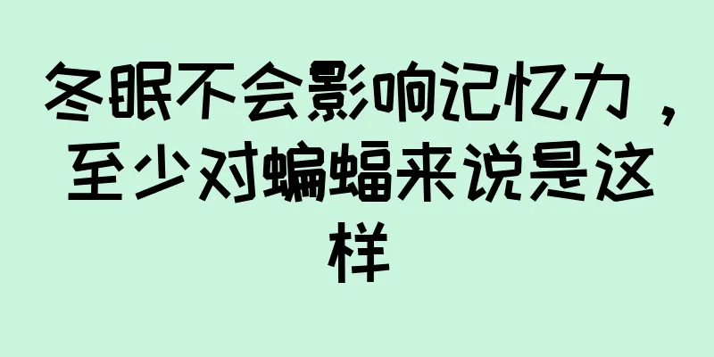 冬眠不会影响记忆力，至少对蝙蝠来说是这样