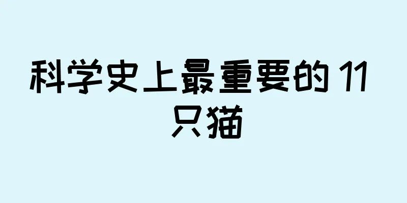 科学史上最重要的 11 只猫