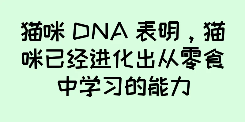 猫咪 DNA 表明，猫咪已经进化出从零食中学习的能力