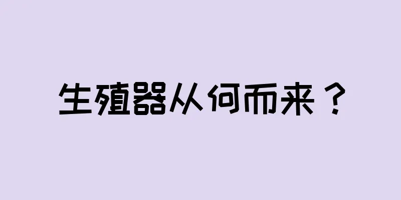 生殖器从何而来？