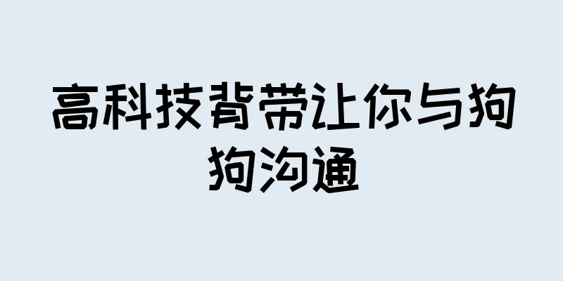 高科技背带让你与狗狗沟通