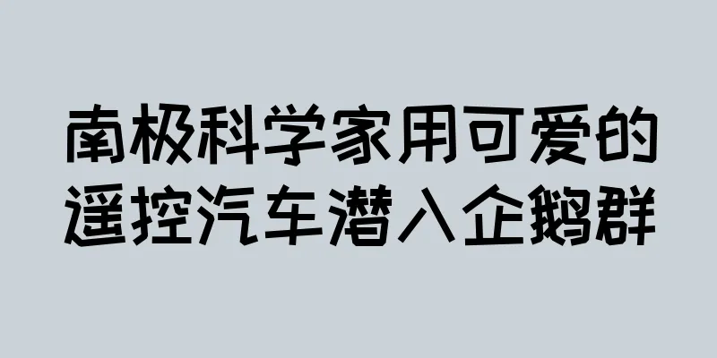 南极科学家用可爱的遥控汽车潜入企鹅群