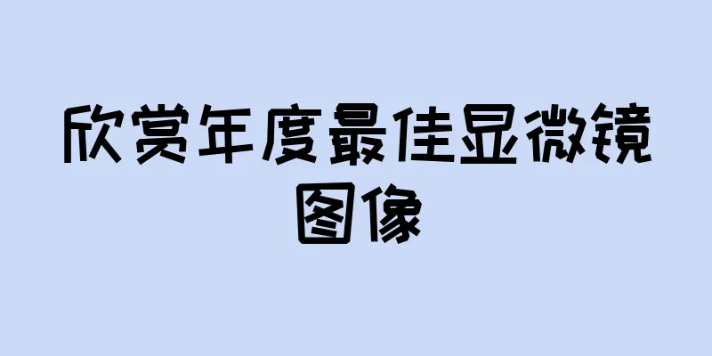 欣赏年度最佳显微镜图像