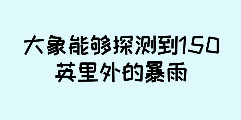 大象能够探测到150英里外的暴雨