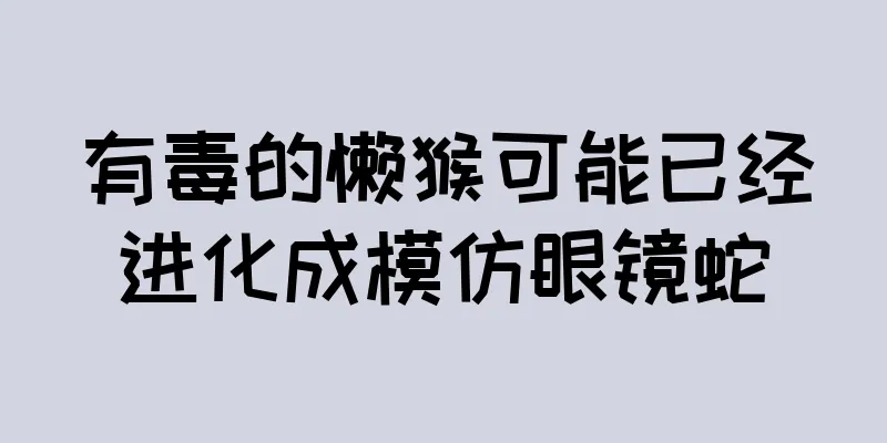 有毒的懒猴可能已经进化成模仿眼镜蛇