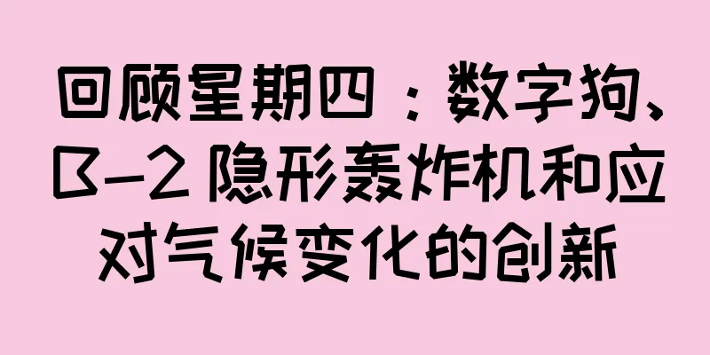 回顾星期四：数字狗、B-2 隐形轰炸机和应对气候变化的创新