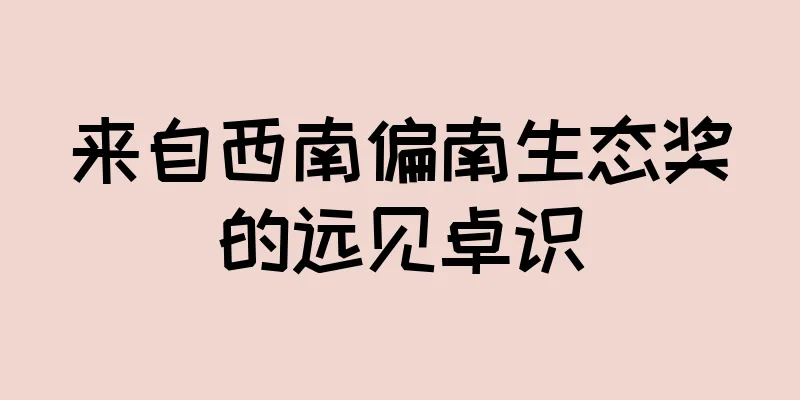 来自西南偏南生态奖的远见卓识