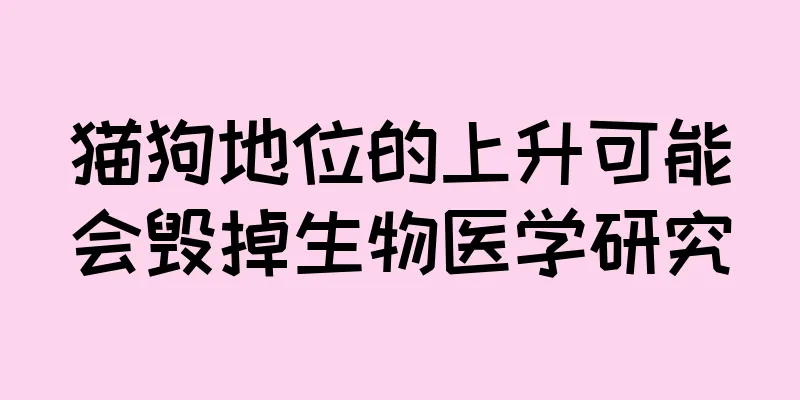 猫狗地位的上升可能会毁掉生物医学研究