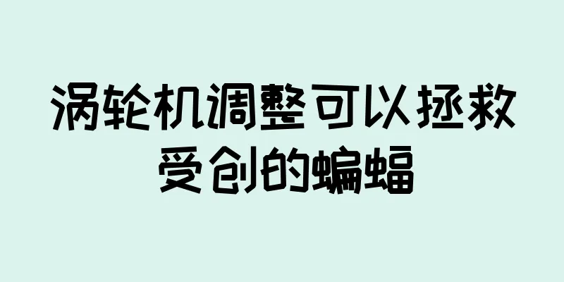 涡轮机调整可以拯救受创的蝙蝠