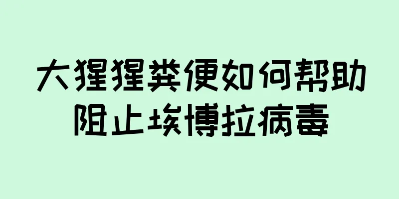 大猩猩粪便如何帮助阻止埃博拉病毒