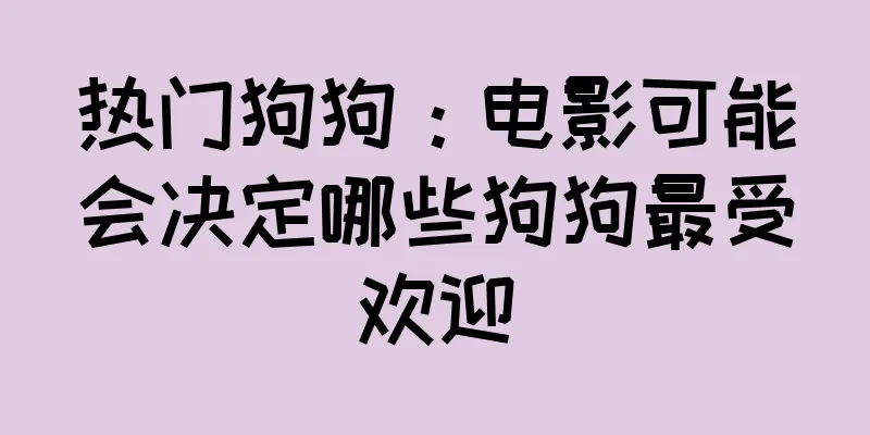 热门狗狗：电影可能会决定哪些狗狗最受欢迎
