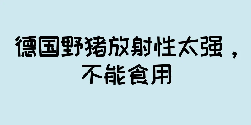 德国野猪放射性太强，不能食用
