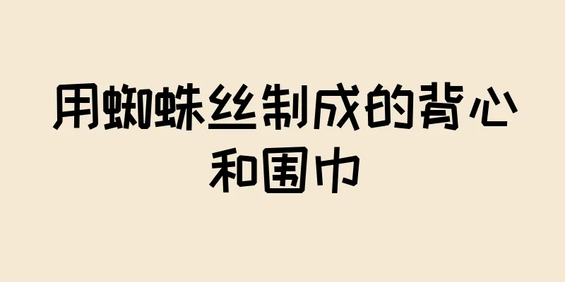 用蜘蛛丝制成的背心和围巾