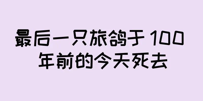 最后一只旅鸽于 100 年前的今天死去
