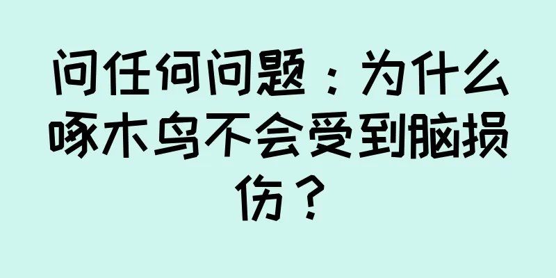问任何问题：为什么啄木鸟不会受到脑损伤？
