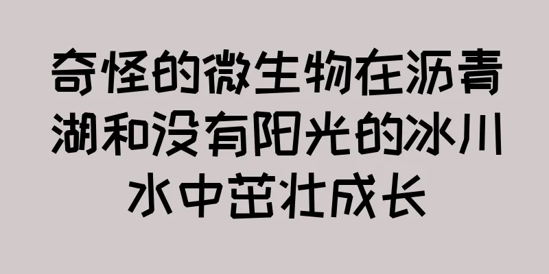 奇怪的微生物在沥青湖和没有阳光的冰川水中茁壮成长