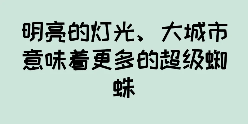 明亮的灯光、大城市意味着更多的超级蜘蛛