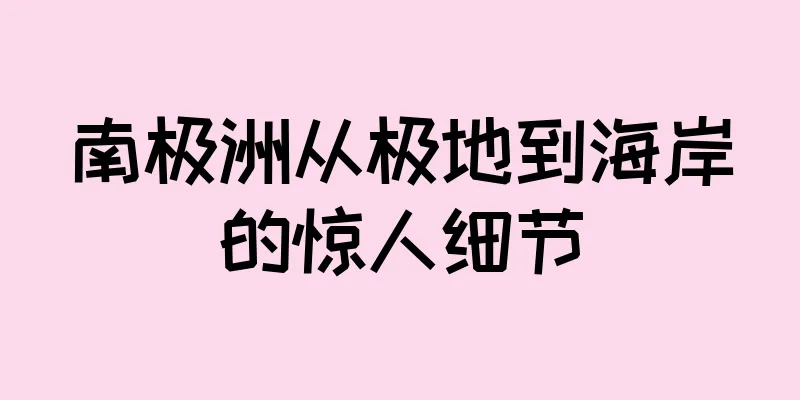 南极洲从极地到海岸的惊人细节
