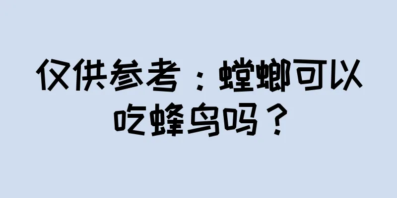 仅供参考：螳螂可以吃蜂鸟吗？