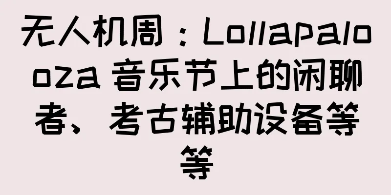 无人机周：Lollapalooza 音乐节上的闲聊者、考古辅助设备等等