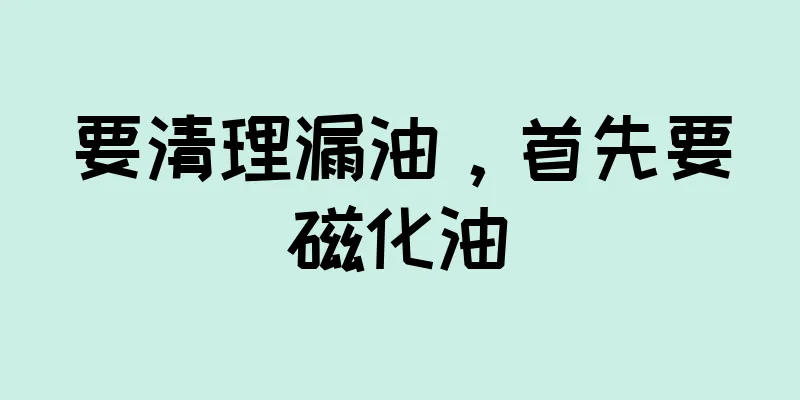 要清理漏油，首先要磁化油