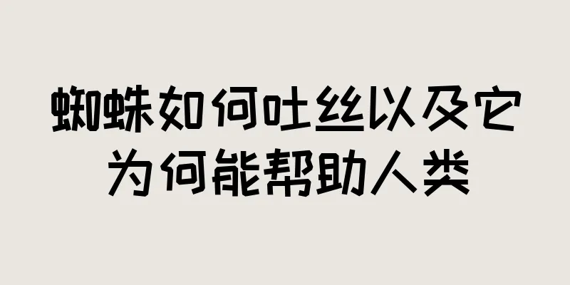 蜘蛛如何吐丝以及它为何能帮助人类