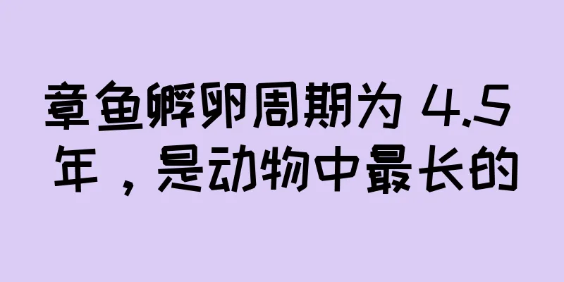 章鱼孵卵周期为 4.5 年，是动物中最长的