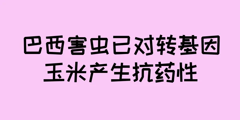 巴西害虫已对转基因玉米产生抗药性