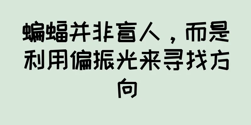 蝙蝠并非盲人，而是利用偏振光来寻找方向