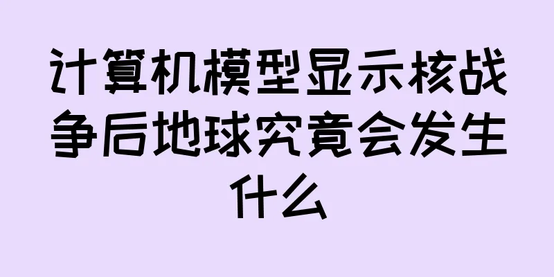 计算机模型显示核战争后地球究竟会发生什么