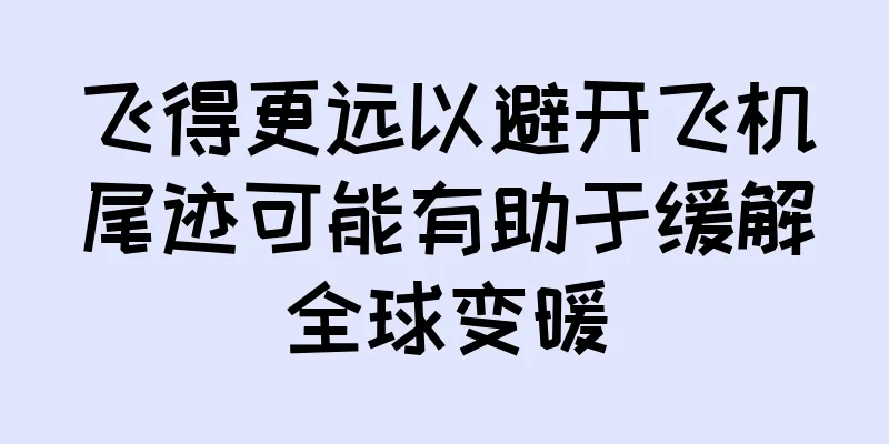 飞得更远以避开飞机尾迹可能有助于缓解全球变暖