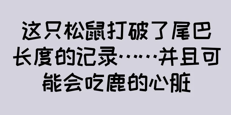 这只松鼠打破了尾巴长度的记录……并且可能会吃鹿的心脏