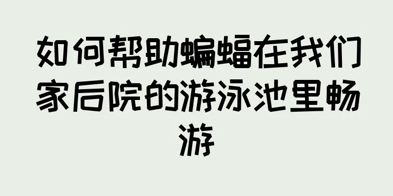 如何帮助蝙蝠在我们家后院的游泳池里畅游