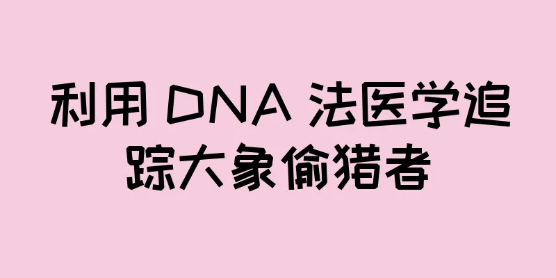 利用 DNA 法医学追踪大象偷猎者