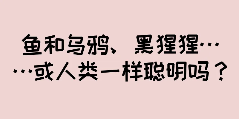 鱼和乌鸦、黑猩猩……或人类一样聪明吗？