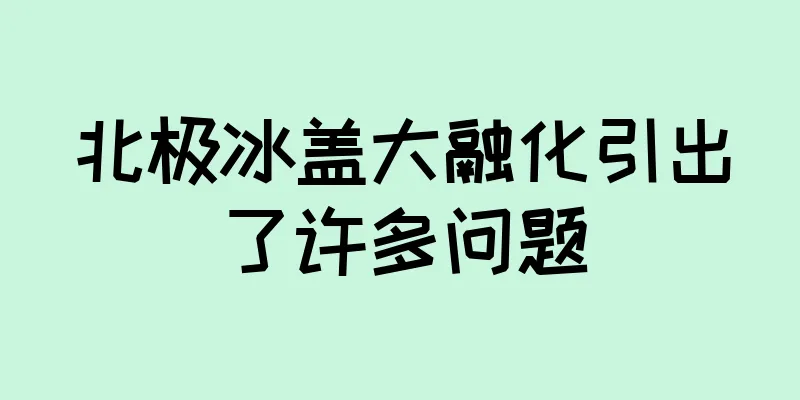 北极冰盖大融化引出了许多问题