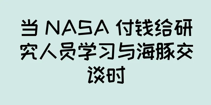 当 NASA 付钱给研究人员学习与海豚交谈时