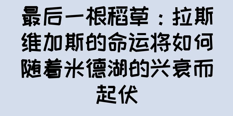 最后一根稻草：拉斯维加斯的命运将如何随着米德湖的兴衰而起伏