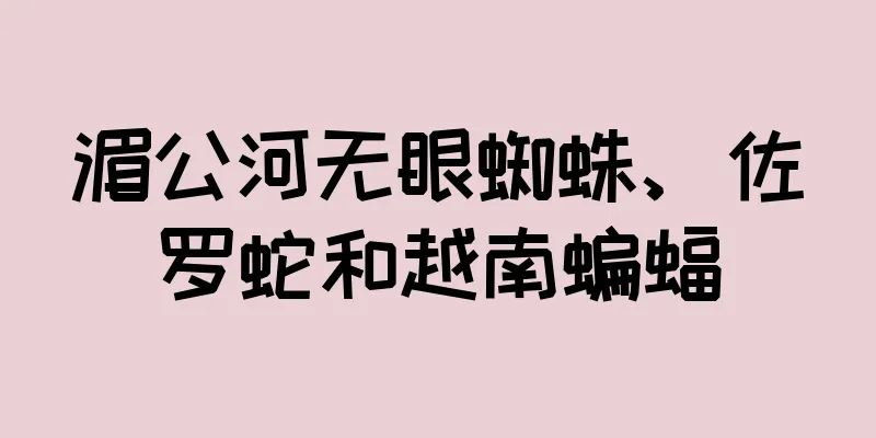 湄公河无眼蜘蛛、佐罗蛇和越南蝙蝠