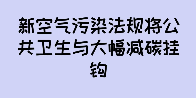 新空气污染法规将公共卫生与大幅减碳挂钩
