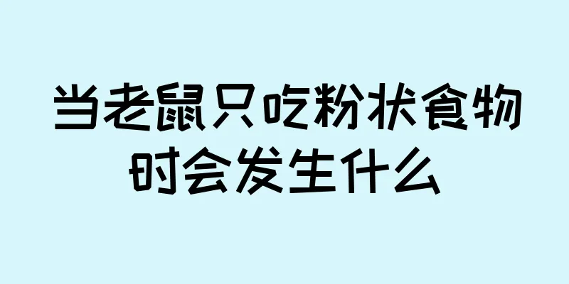 当老鼠只吃粉状食物时会发生什么