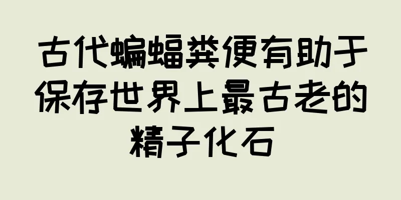 古代蝙蝠粪便有助于保存世界上最古老的精子化石