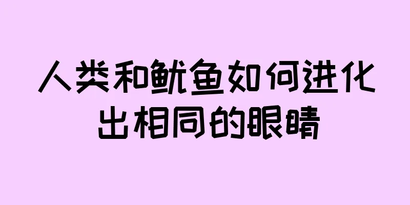人类和鱿鱼如何进化出相同的眼睛