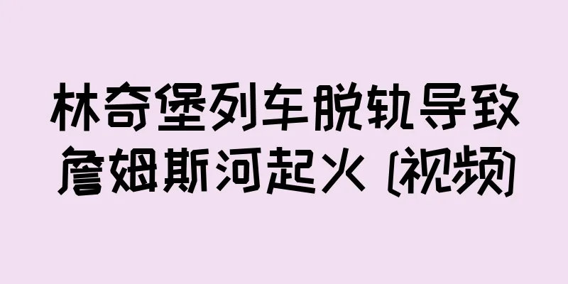林奇堡列车脱轨导致詹姆斯河起火 [视频]