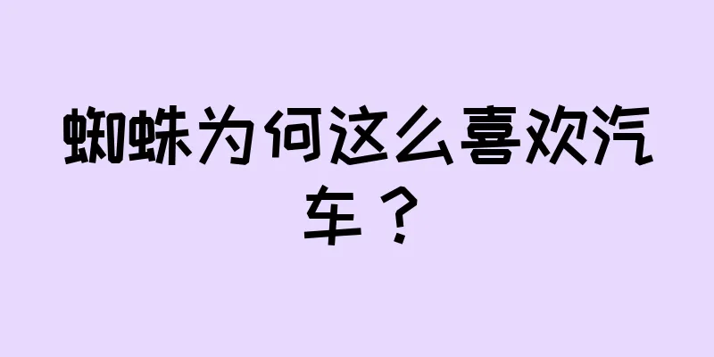 蜘蛛为何这么喜欢汽车？