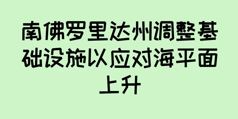 南佛罗里达州调整基础设施以应对海平面上升